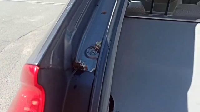 Honda Insight ZE2 Hybrid на продаже