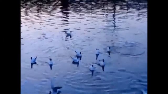 Прошёл короткий летний дождик... смотреть онлайн