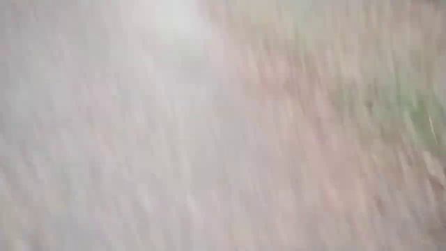 С Днём Рождения Мир! смотреть онлайн