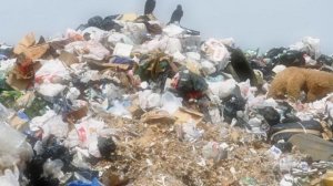 Туш табирлари - Тушда ахлат куриш