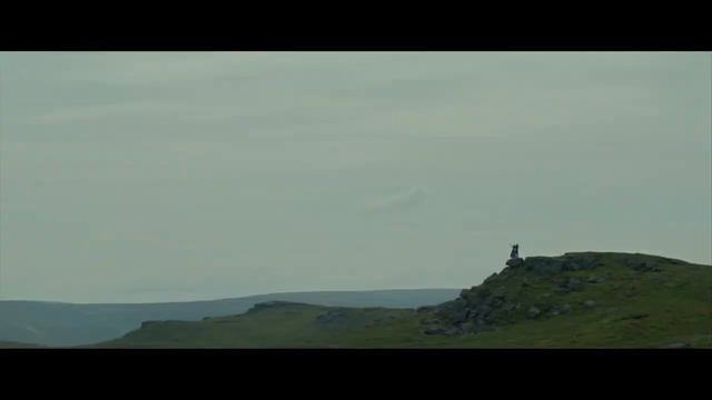 EMILY (2022). смотреть онлайн