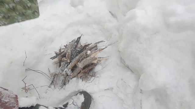 По пояс в снегу! Ставлю петлю на куропатку - Рагу из куропатки смотреть онлайн