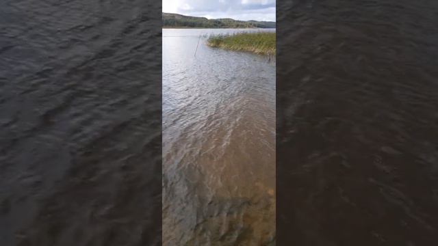 река " Вуокса " , Каменногорск смотреть онлайн