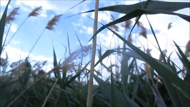 ДАЛЬНИЙ УГОЛОК РОССИИ смотреть онлайн