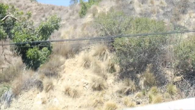 Gold Diggers Getting EXPOSED!! Best crazy pranks of 2021 ( MUST WATCH ) смотреть онлайн