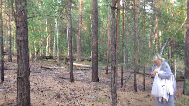 НА ПОИСКИ ГРИБОВ смотреть онлайн