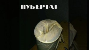 ПУБЕРТАТ (часть 1)