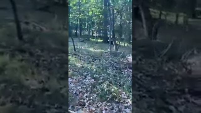 Caballero en el Monte de Patterson New Jersey buscando el rostro del Señor. смотреть онлайн