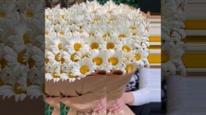 Александр Закшевский (Поздравляю  я тебя)