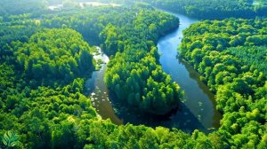 Успокаивающая музыка для нервов 🌿 лечебная музыка для сердца и сосудов, релакс, музыка для души #7