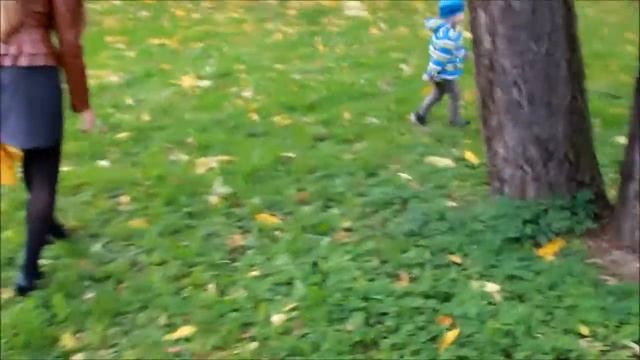 VLOG/Крестовский остров/много белок/лебеди смотреть онлайн