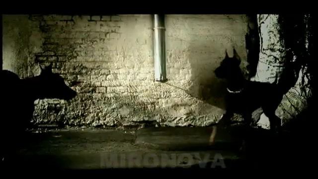 Децл и NPans - Уличные псы смотреть онлайн