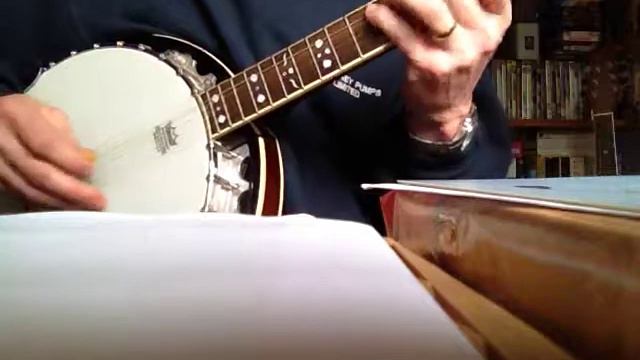 The Rocky Road to Dublin on the Banjo смотреть онлайн