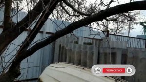 Кардинальная Обрезка Садового Боярышника/Боярышник в Стиле НИВАКИ/Весенняя обрезка садовых деревьев