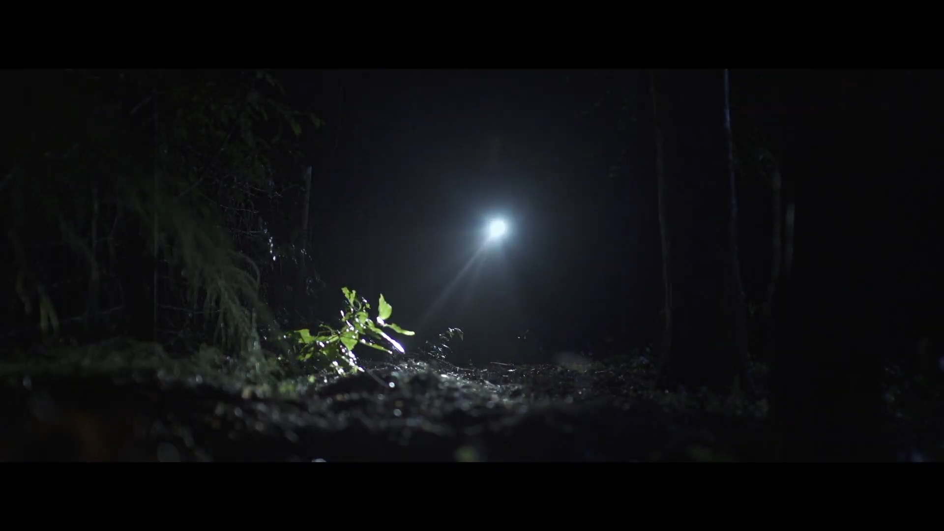 The Arbors (2020) Trailer смотреть онлайн
