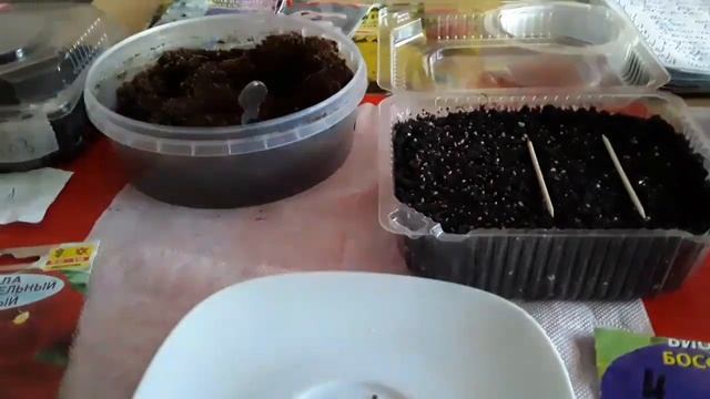 Посев Анютиных глазок (Виола)на рассаду в 2021 году. смотреть онлайн