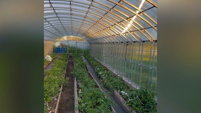 Наши работы смотреть онлайн