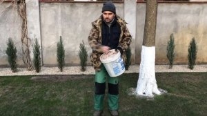 Скарификация и подсев газона