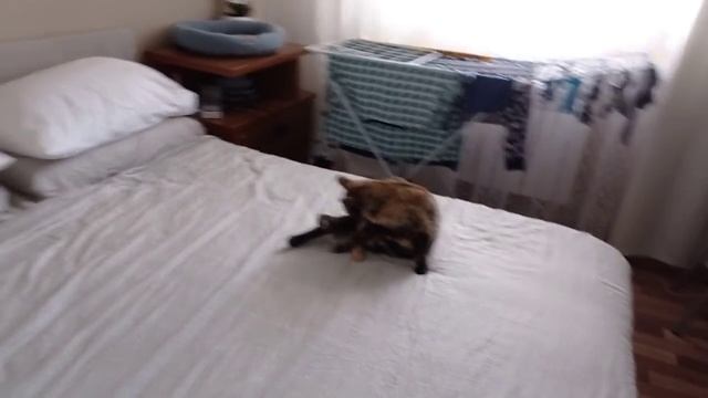 НЕ ПРОБОЛТАЛАСЬ/ЗАКУПКА ПРОДУКТОВ/СТИРКА/УБОРКА/ГОТОВКА/ПРАВИЛЬНО ГОВОРИТ/С СЫНОМ/БУДНИ МАМЫ ВЛОГ