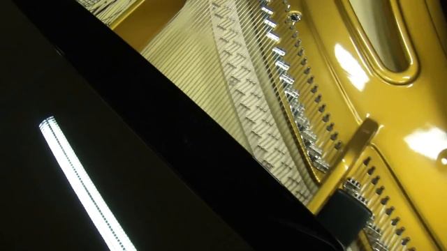 Экспромт - рояль W.Hoffmann T-161 смотреть онлайн