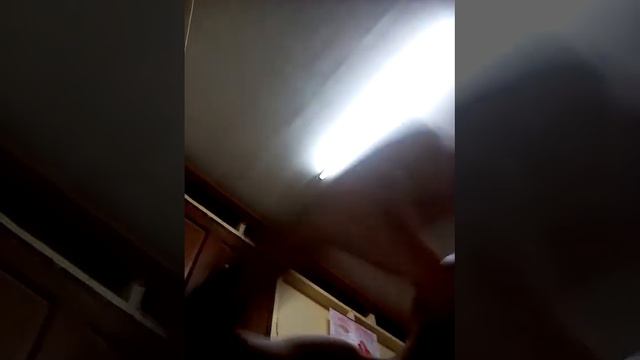 สอนอ่านภาษาW.D. Gaster смотреть онлайн