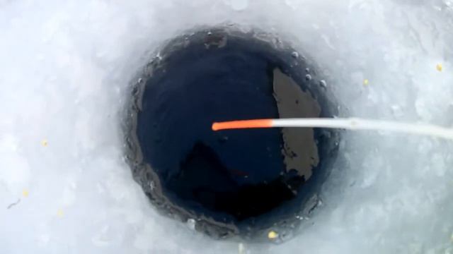 Коллективная рыбалка под Юргой смотреть онлайн