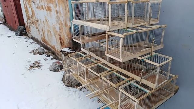 Мужики, доставайте заначки, западки готовы! смотреть онлайн