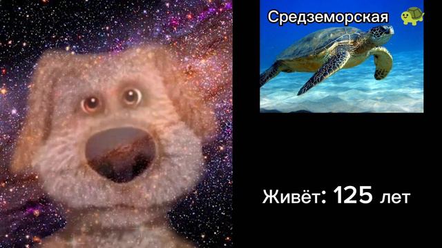 радостные лица Бена (сколько живёт это существо) смотреть онлайн