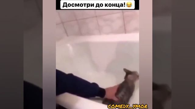 Ошибочка вышла смотреть онлайн