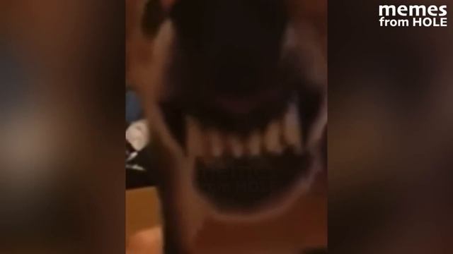 you laugh, you restart (memes from hole) смотреть онлайн