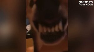 you laugh, you restart (memes from hole)