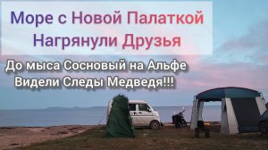 На Море дикарями с Новой палаткой Нагрянули друзья, на Альфе до мыса Сосновый видели следы Медведя!