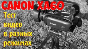 Canon XA60. Примеры видео в разных режимах.
