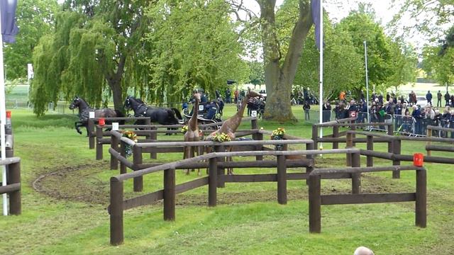 PERSSON Fredrik, SWE, Windsor RWHS, CAIO4# H4, Marathon Ob7, 11 05 2019 смотреть онлайн