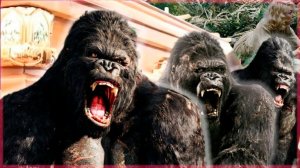 King Kong - Coffin Dance Meme | Astronomia Song (Cover)