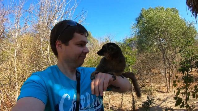 Путешествие на Мадагаскар 2019 смотреть онлайн