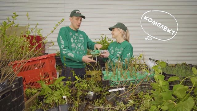 Какие саженцы в Беккер? Хвойные и декоративные растения | Серия Сад Здоровье | Экскурсия cо склада смотреть онлайн