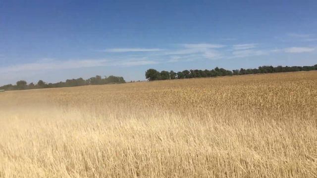 Очёсывающая жатка ОЗОН смотреть онлайн