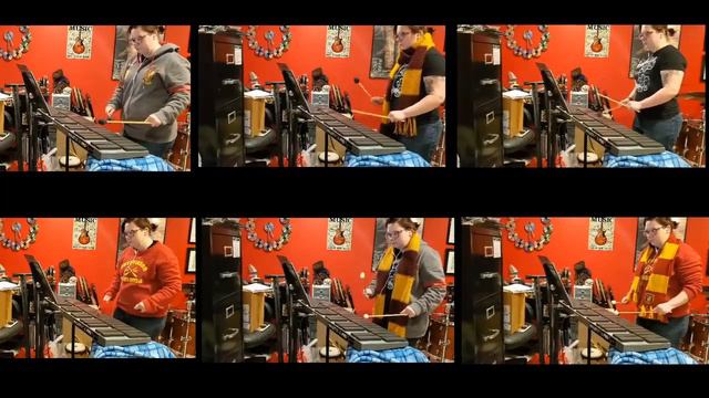 Dumbledore's Army - Harry Potter & the Order of the Phoenix (Percussion cover by Erica Moser) смотреть онлайн