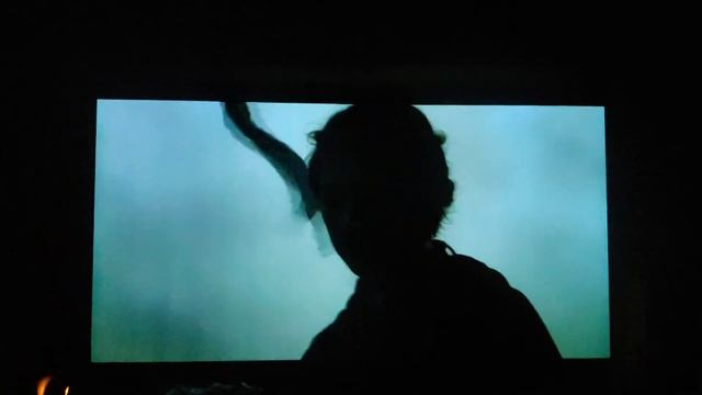 Vertical Banding LG CX 65" nr 2 смотреть онлайн