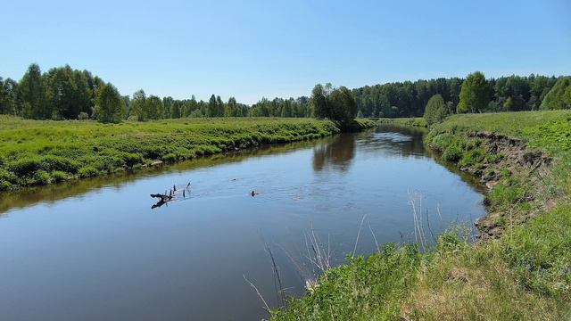 Река Уводь. ч.4. Июнь 2024 смотреть онлайн