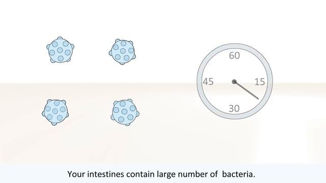 Bacteria And Viruses - What Is The Difference Between Bacteria And Viruses?