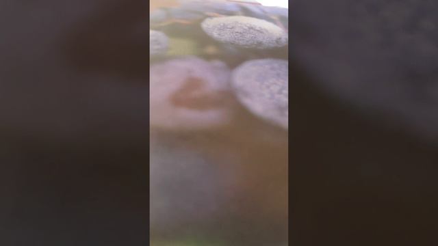 romans 15:22-33 nkjv смотреть онлайн