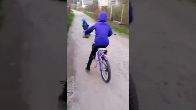 Дача гонки смотреть онлайн