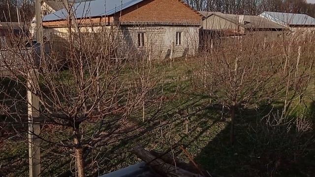 Сад после зимы смотреть онлайн