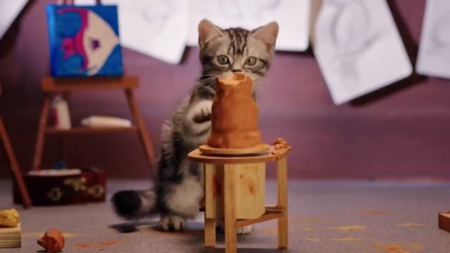 Эпизод 5 Как играть с котенком правильно Как развивать котенка Академия котят 0+ смотреть онлайн