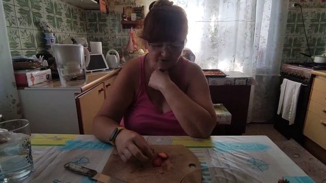 14.08.23. Медовый спас, а значит выходной. Свекла гигант. Сосна из семечки смотреть онлайн