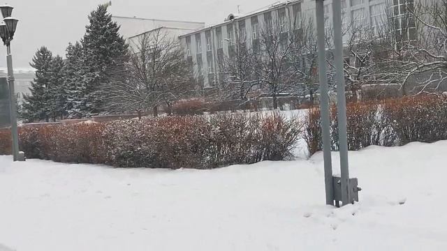 Улан-Удэ, площадь Советов, декабрь 2022 г☃️ смотреть онлайн