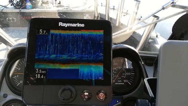 Троллинг на верней Волге, 16 июня 2018 года, безумство леща.mp4 смотреть онлайн