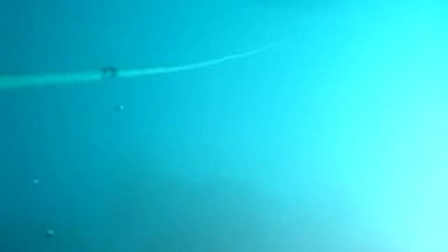 Freediving in Dean's Blue Hole смотреть онлайн